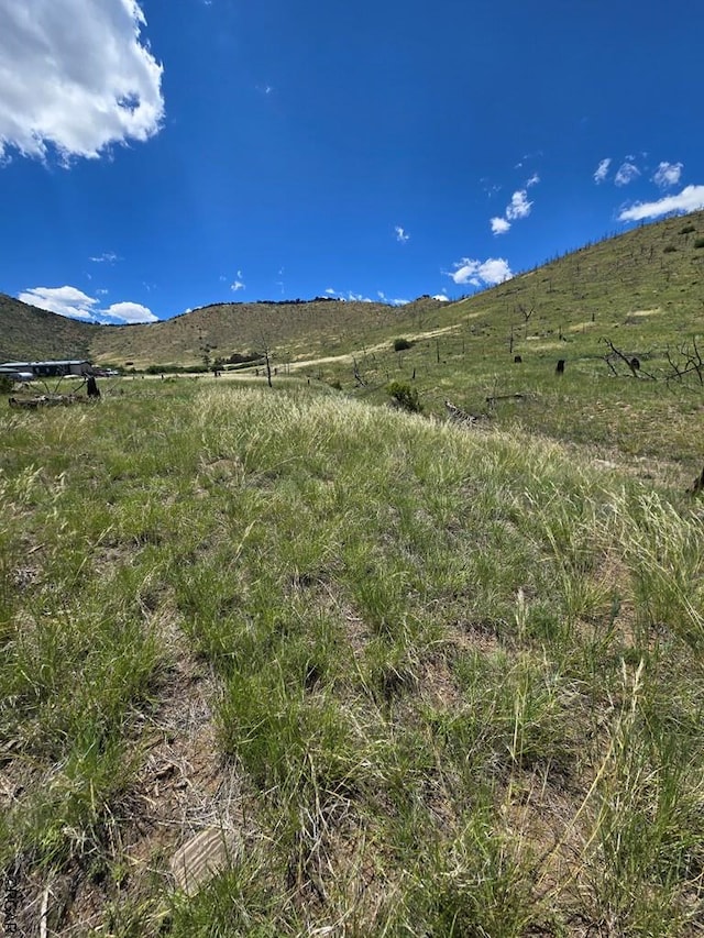 Listing photo 3 for TBD 26th Trail, Cotopaxi CO 81223