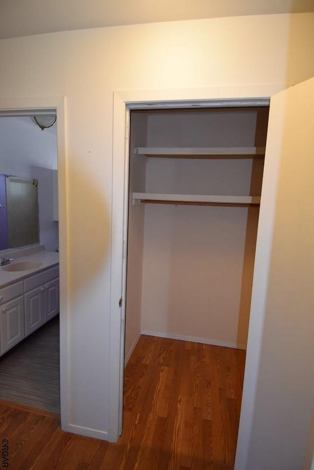 closet featuring sink