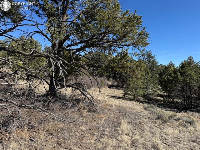 Listing photo 3 for TR118 32nd Trl, Cotopaxi CO 81223