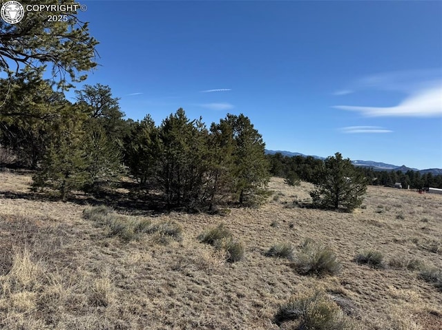 Listing photo 2 for TR118 32nd Trl, Cotopaxi CO 81223