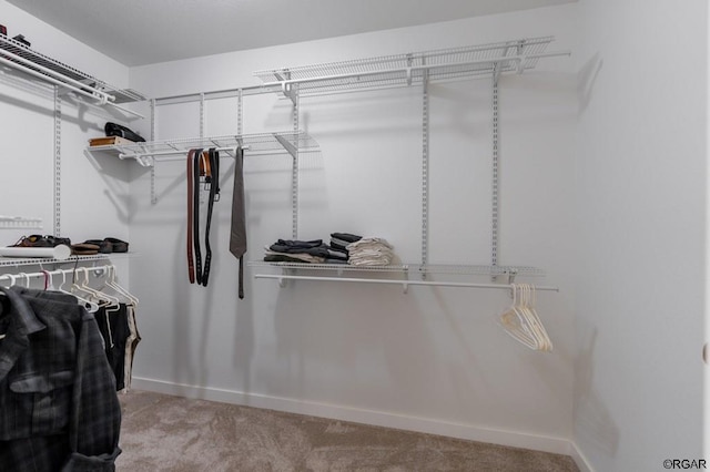 walk in closet with light carpet