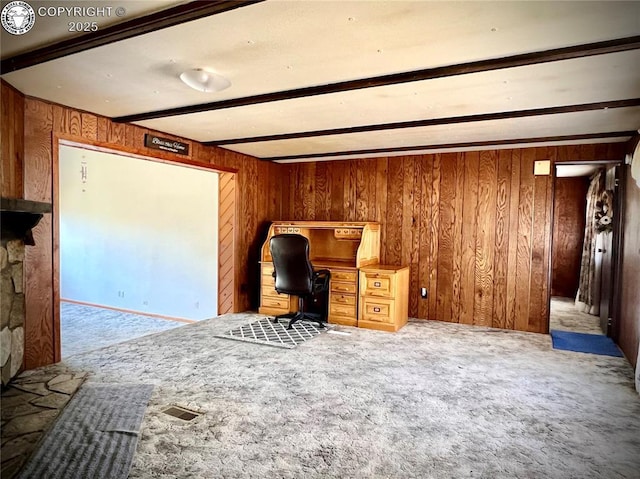1180 County Road 13a, Florence, CO 81226 - photo 13