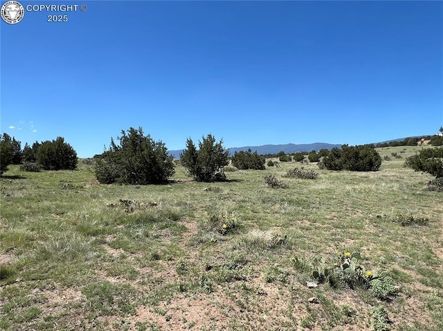 1180 County Road 13a, Florence, CO 81226 - photo 6