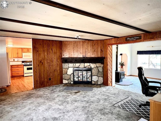 1180 County Road 13a, Florence, CO 81226 - photo 14