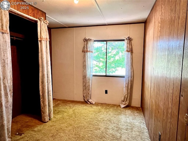 1180 County Road 13a, Florence, CO 81226 - photo 17