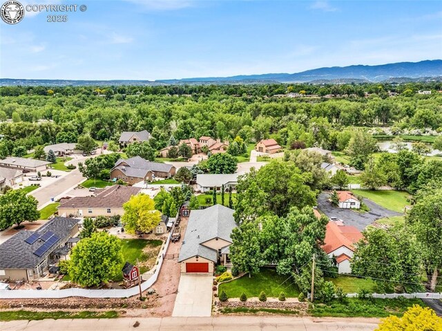 2320 Fowler St, Canon City, CO 81212 - photo 49