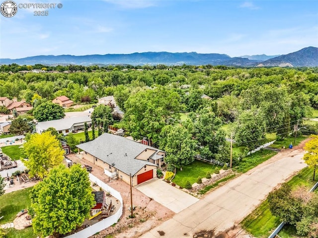 2320 Fowler St, Canon City, CO 81212 - photo 48