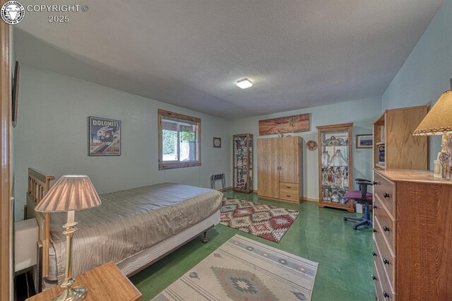 2680 Wild Bill Blvd, Westcliffe, CO 81252 - bedroom with a textured ceiling and baseboards