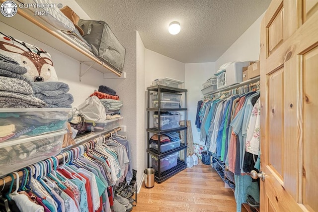 2680 Wild Bill Blvd, Westcliffe, CO 81252 - spacious closet featuring light wood-style floors