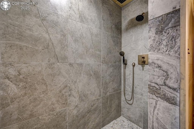 540 County Road 356, Westcliffe, CO 81252 - bathroom featuring tiled shower