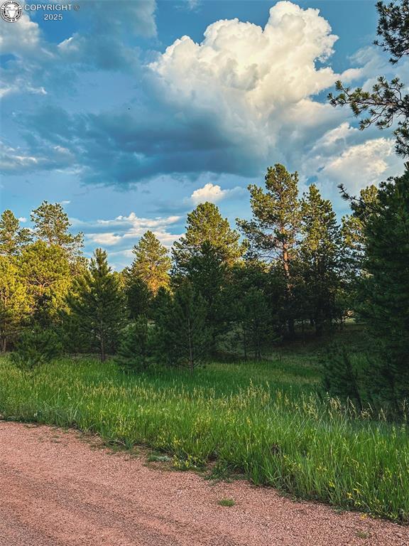 34 Quartz Cir, Florissant, CO 80816