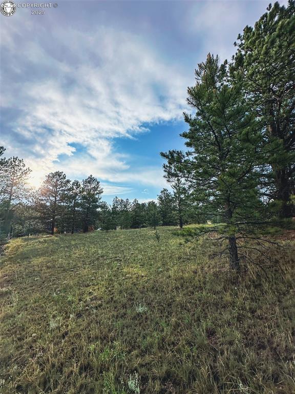 34 Quartz Cir, Florissant, CO 80816