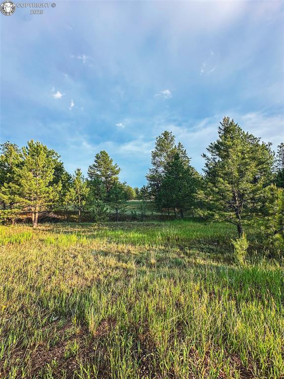 34 Quartz Cir, Florissant, CO 80816