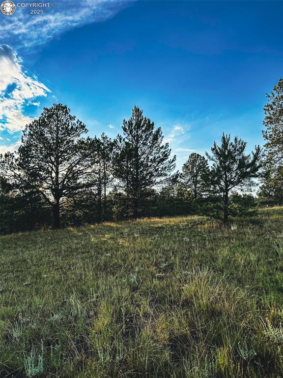 34 Quartz Cir, Florissant, CO 80816
