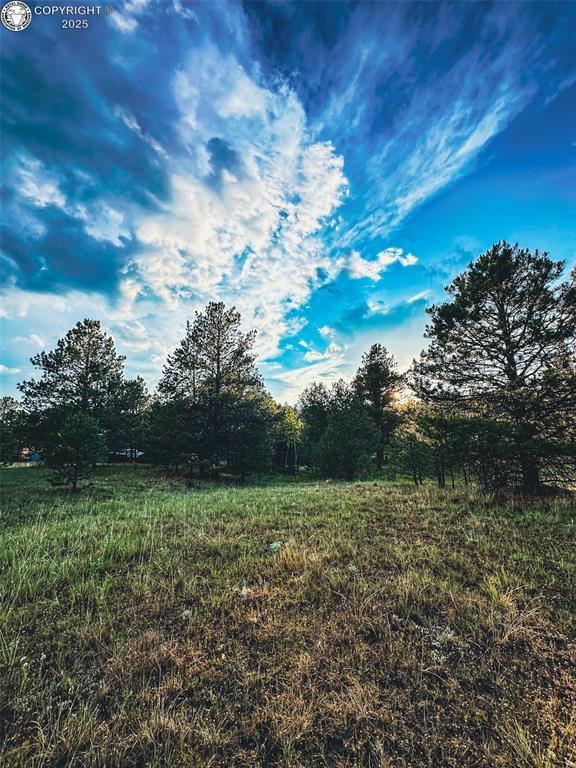 34 Quartz Cir, Florissant, CO 80816