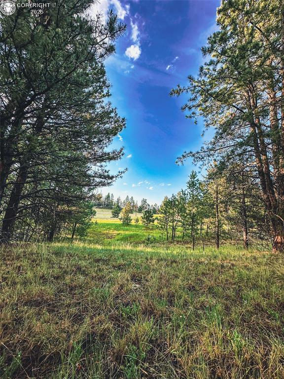 34 Quartz Cir, Florissant, CO 80816