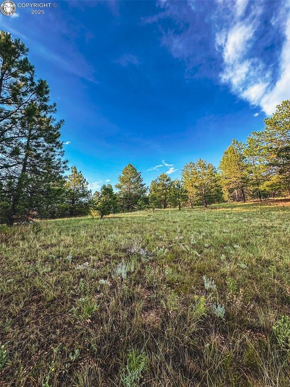 34 Quartz Cir, Florissant, CO 80816