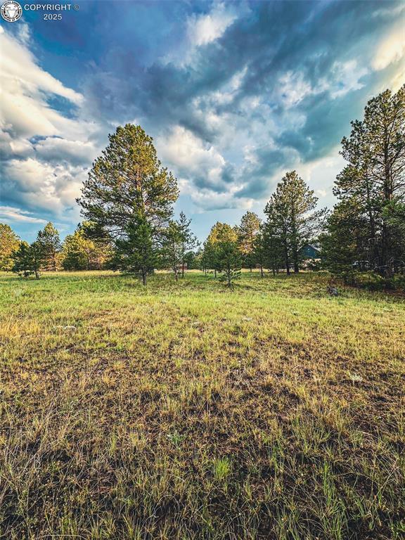 34 Quartz Cir, Florissant, CO 80816