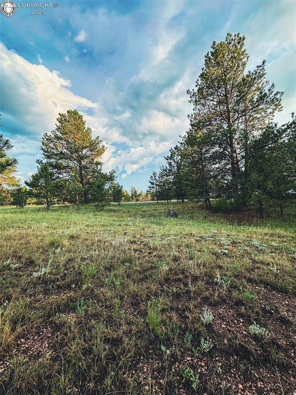 34 Quartz Cir, Florissant, CO 80816