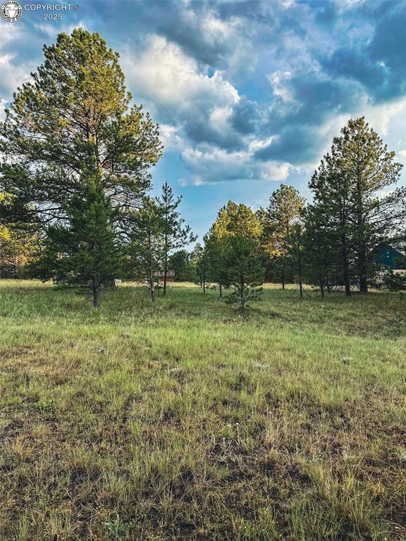 34 Quartz Cir, Florissant, CO 80816