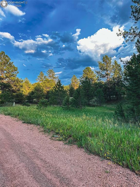 34 Quartz Cir, Florissant, CO 80816