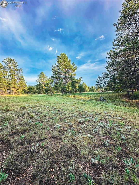 34 Quartz Cir, Florissant, CO 80816