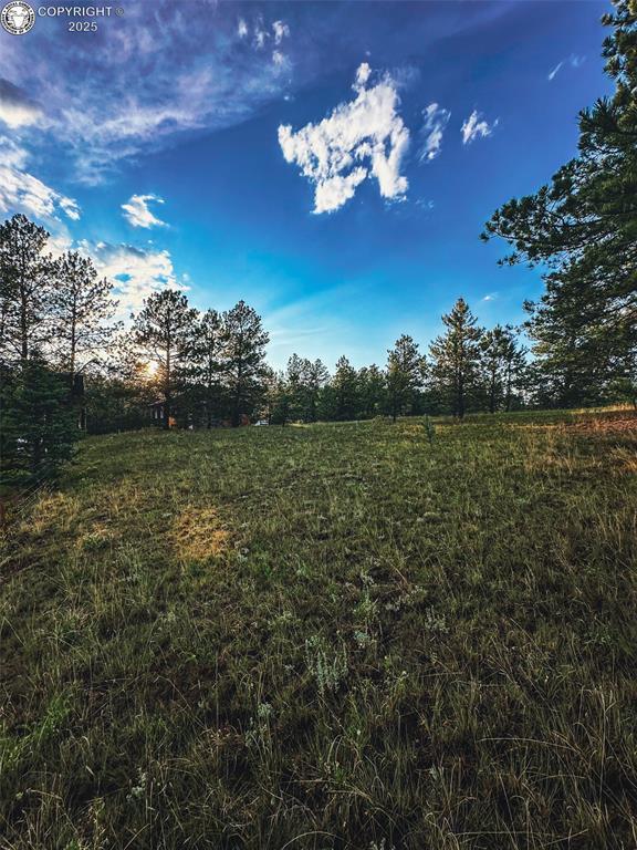 34 Quartz Cir, Florissant, CO 80816