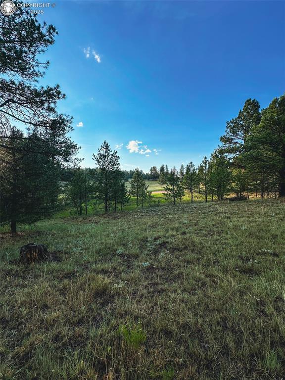 34 Quartz Cir, Florissant, CO 80816