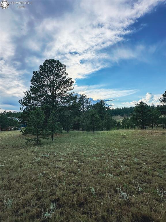 34 Quartz Cir, Florissant, CO 80816