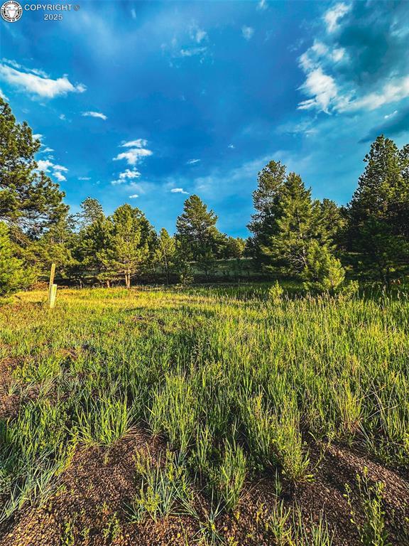 34 Quartz Cir, Florissant, CO 80816