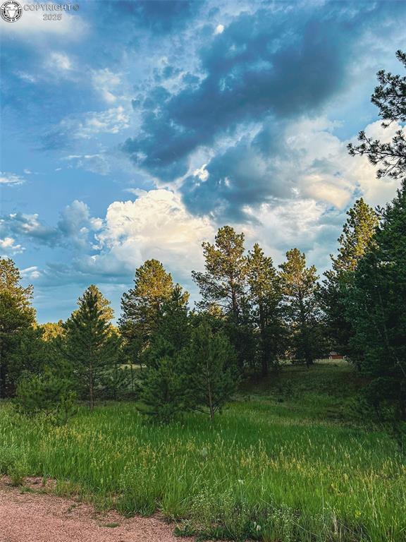 34 Quartz Cir, Florissant, CO 80816