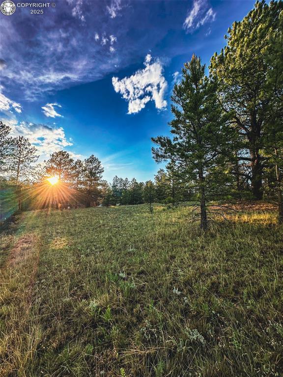 34 Quartz Cir, Florissant, CO 80816