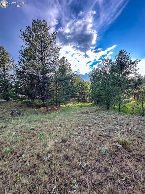 34 Quartz Cir, Florissant, CO 80816