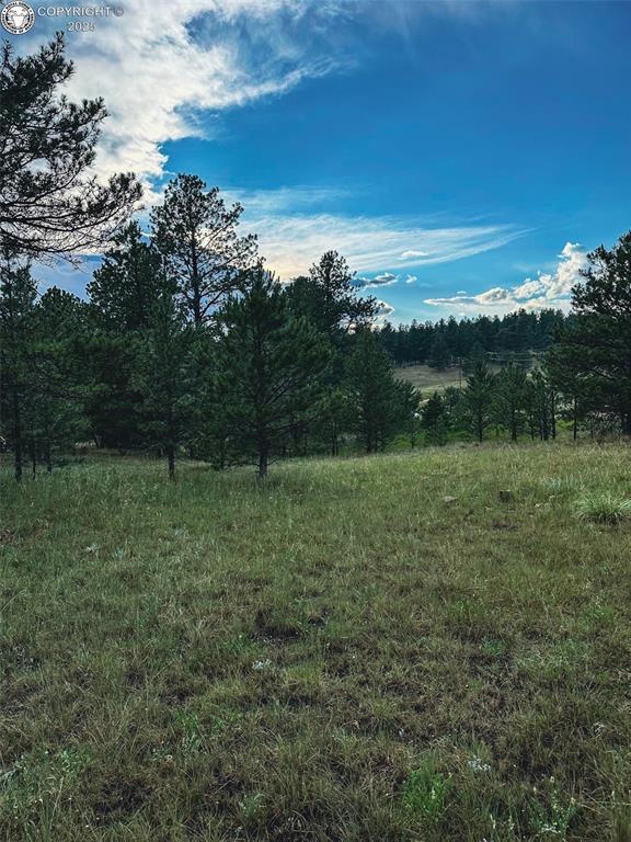 34 Quartz Cir, Florissant, CO 80816