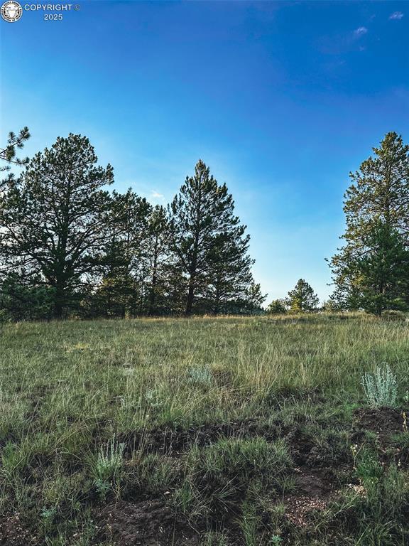 34 Quartz Cir, Florissant, CO 80816