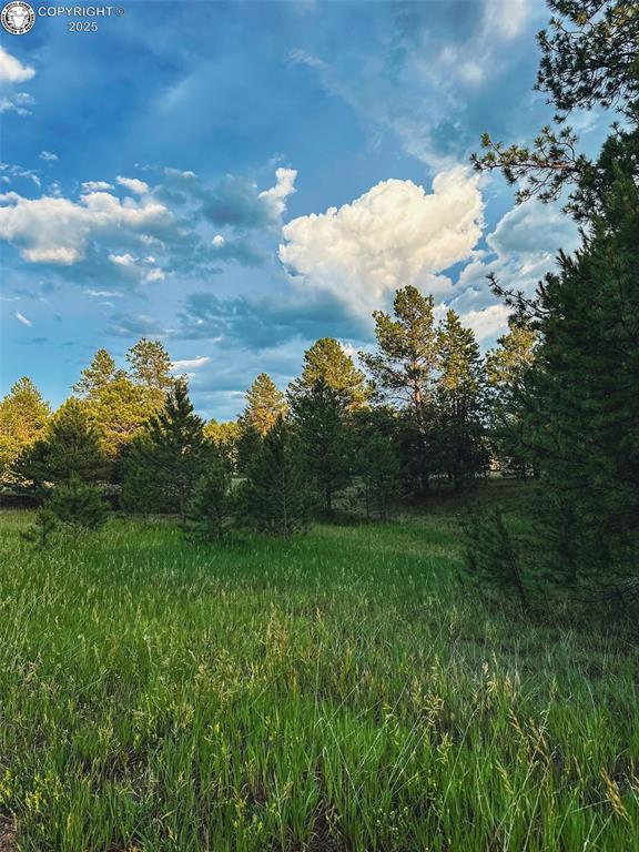 34 Quartz Cir, Florissant, CO 80816