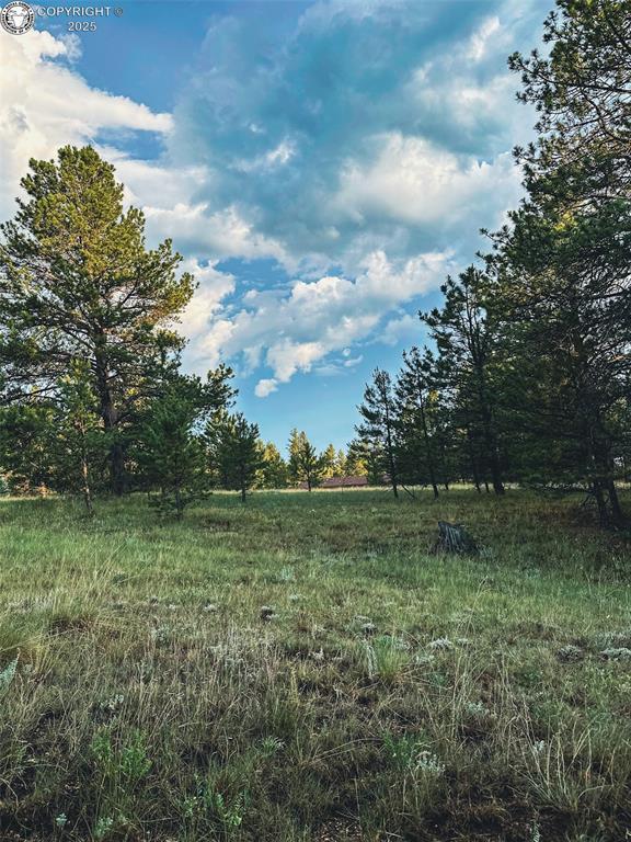 34 Quartz Cir, Florissant, CO 80816