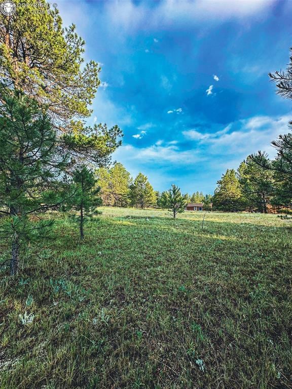 34 Quartz Cir, Florissant, CO 80816