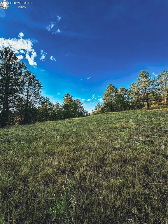 34 Quartz Cir, Florissant, CO 80816
