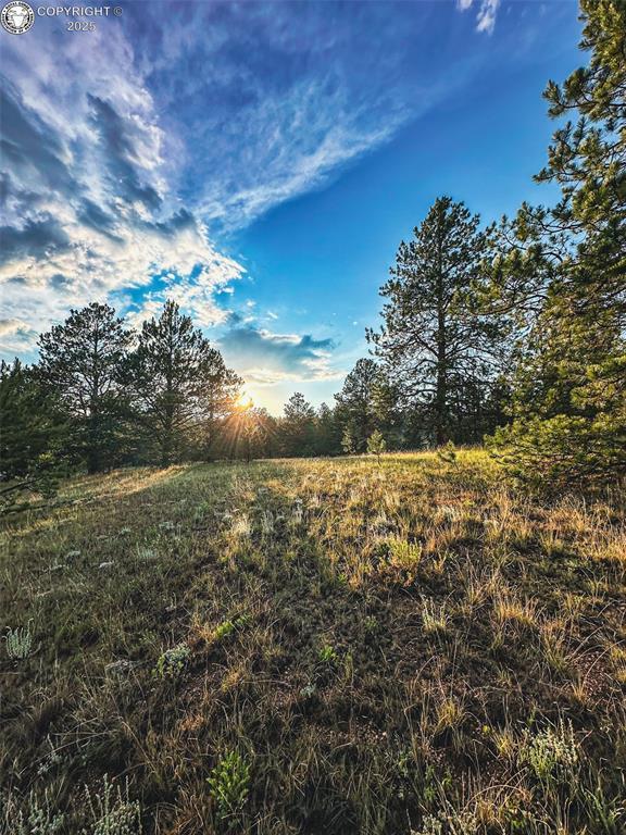 34 Quartz Cir, Florissant, CO 80816