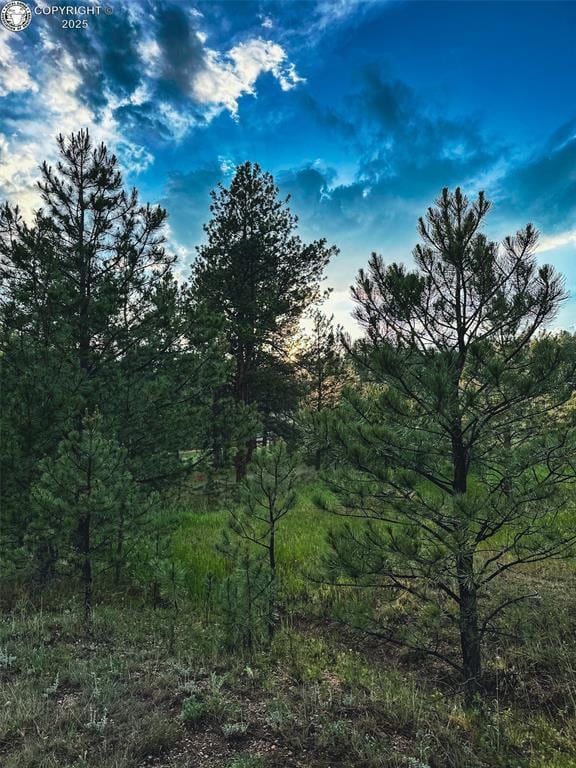 34 Quartz Cir, Florissant, CO 80816