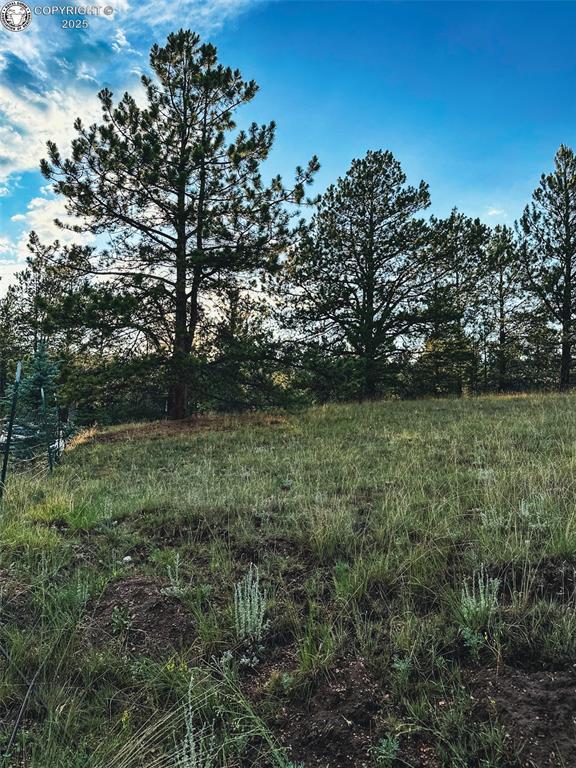 34 Quartz Cir, Florissant, CO 80816