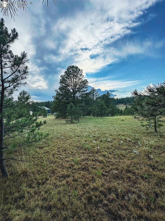 34 Quartz Cir, Florissant, CO 80816