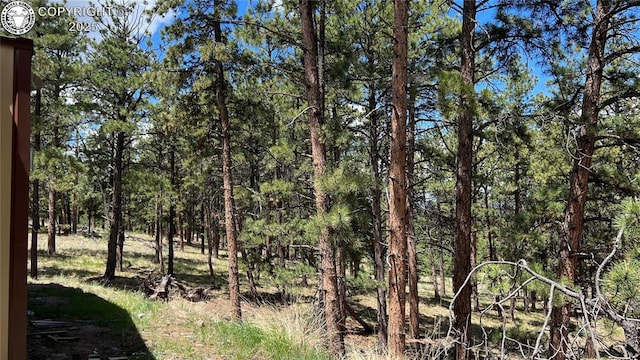 207 Little Bear Dr, Westcliffe, CO 81252