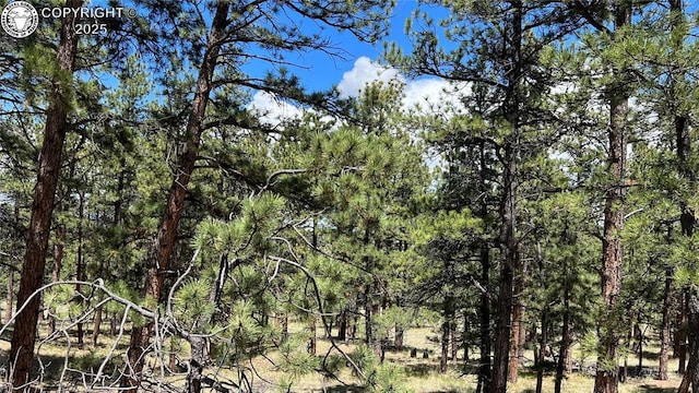 207 Little Bear Dr, Westcliffe, CO 81252