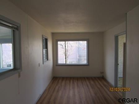 unfurnished room featuring wood-type flooring and a healthy amount of sunlight