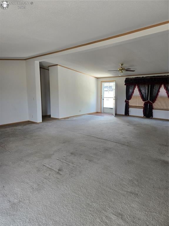 213 Indian Hills Rd, Florence, CO 81226 - spare room with carpet floors and ceiling fan