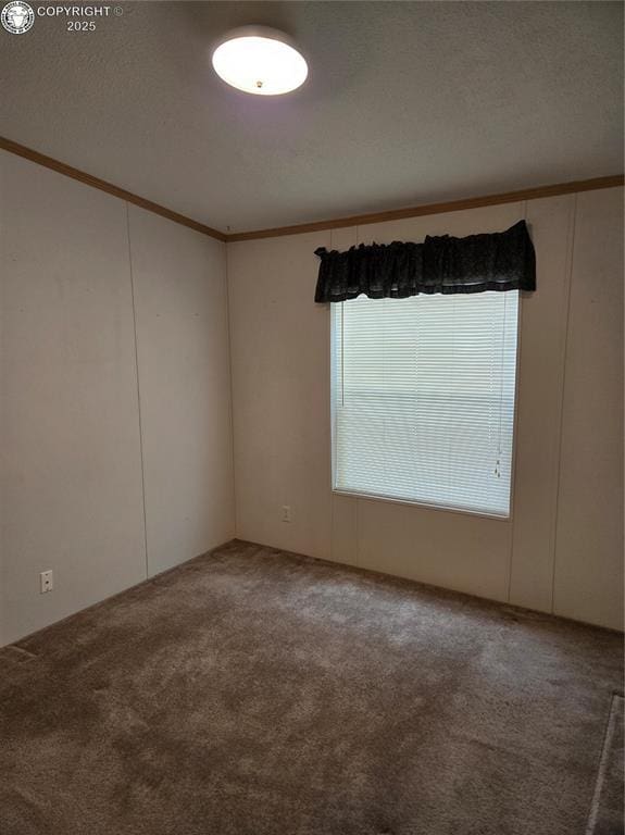 213 Indian Hills Rd, Florence, CO 81226 - carpeted empty room featuring ornamental molding and a textured ceiling