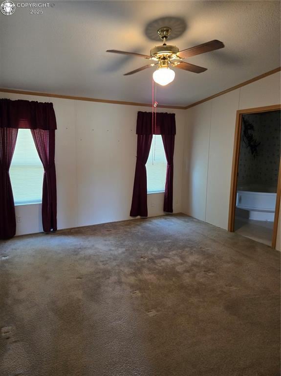 213 Indian Hills Rd, Florence, CO 81226 - spare room with crown molding, ceiling fan, and carpet flooring