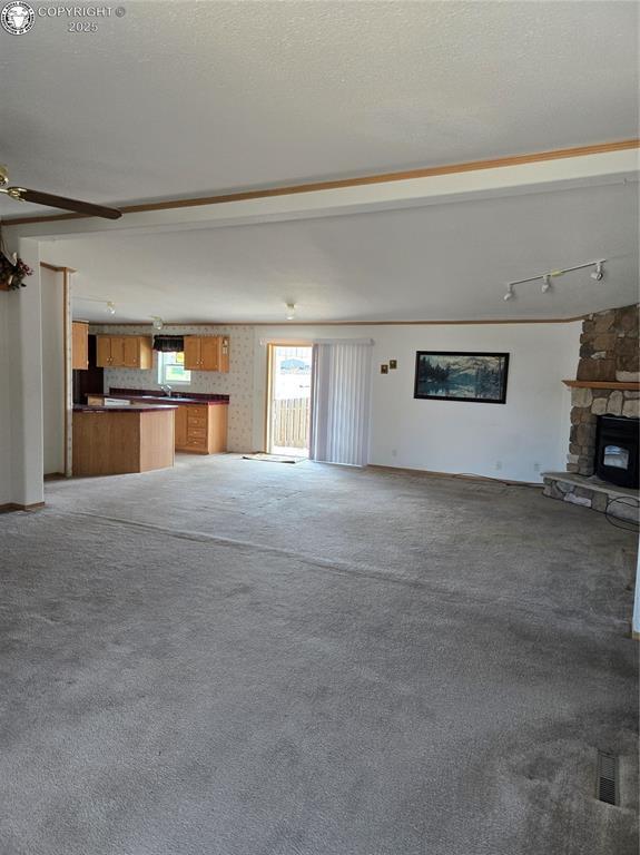 213 Indian Hills Rd, Florence, CO 81226 - unfurnished living room featuring carpet, a fireplace, and ceiling fan